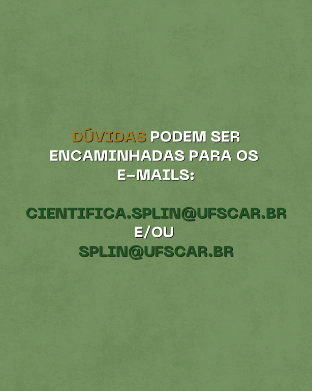 4 - Beatriz Habara Morgon.png