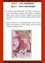 TI-amostra material - Sandra Gattolin.jpg